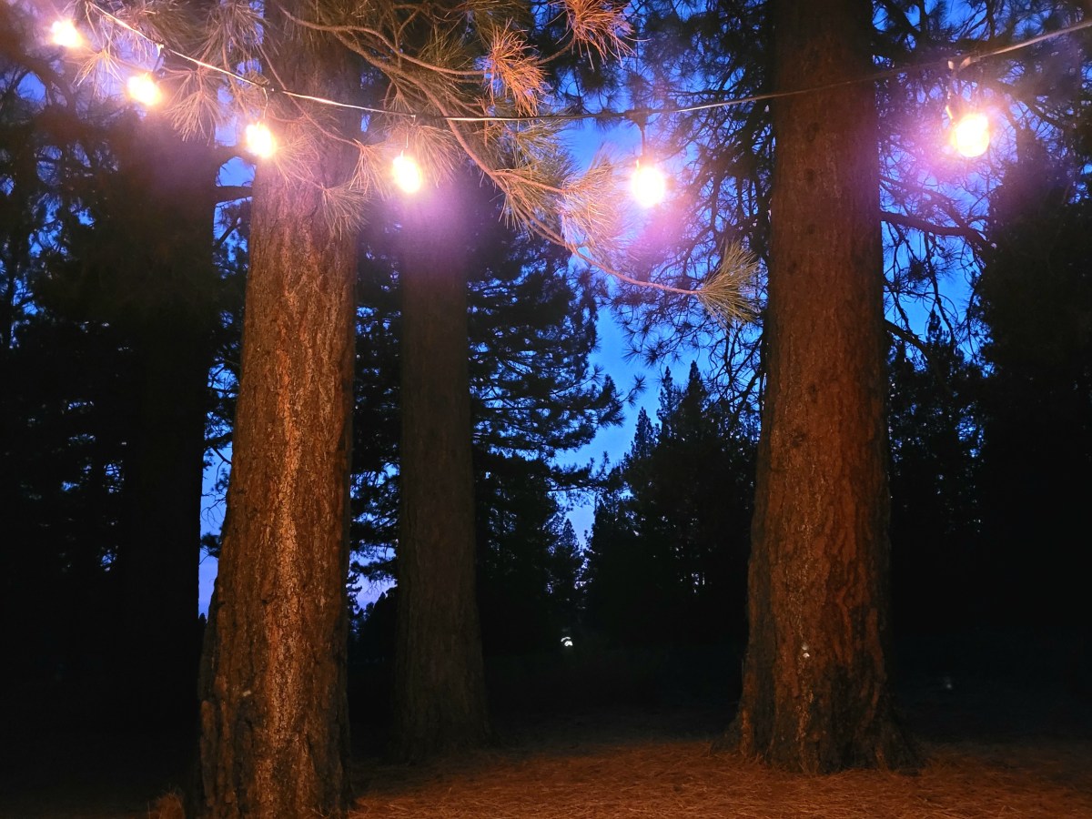 Summer on a&nbsp;Budget