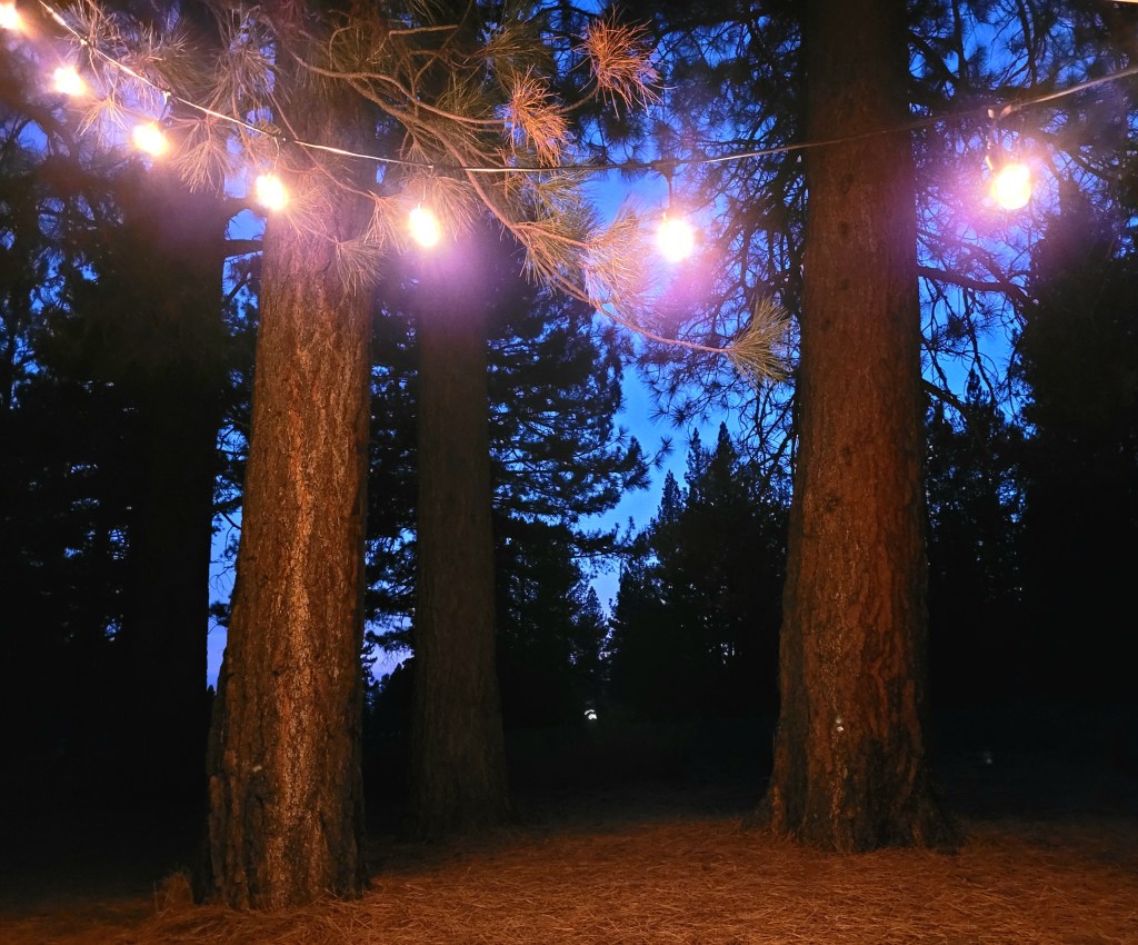 Summer on a&nbsp;Budget