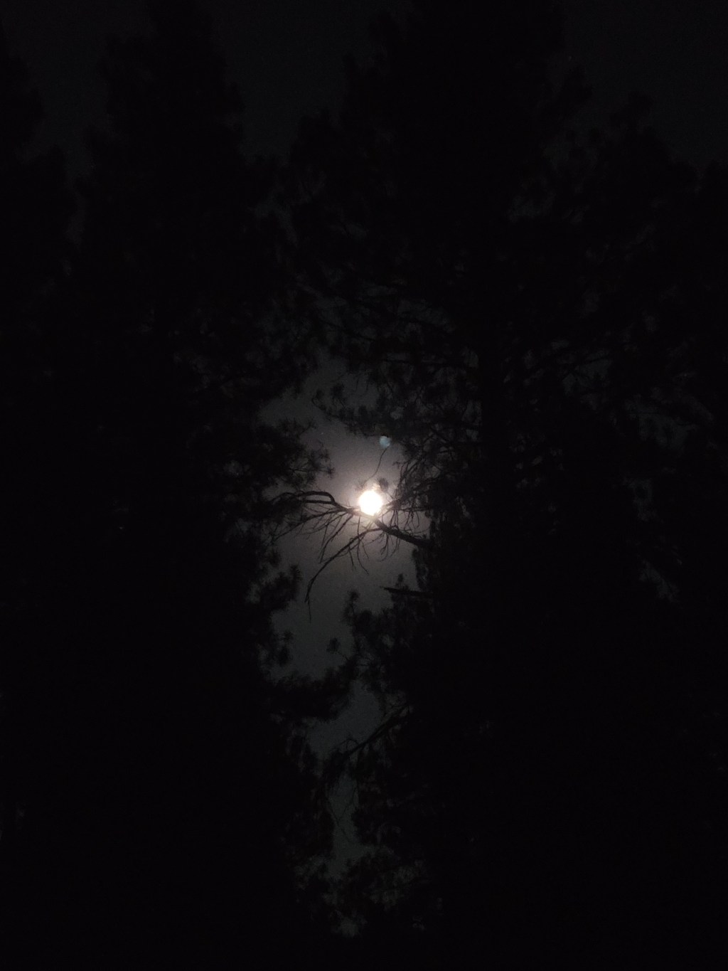 Let Go and Let’s&nbsp;Go!