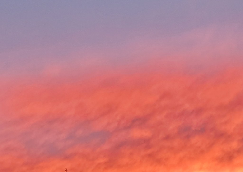 Rise Above It&nbsp;All